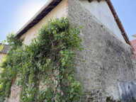 Maison pierre avec terrain et grange — photo 2