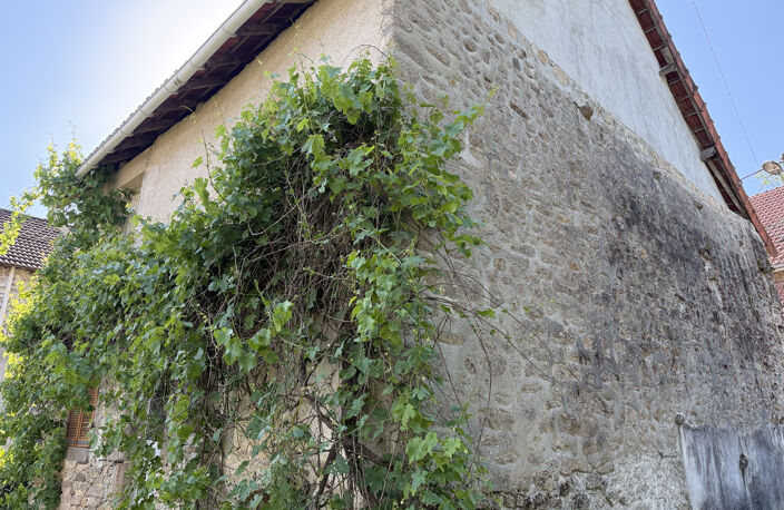 Maison pierre avec terrain et grange — photo 2