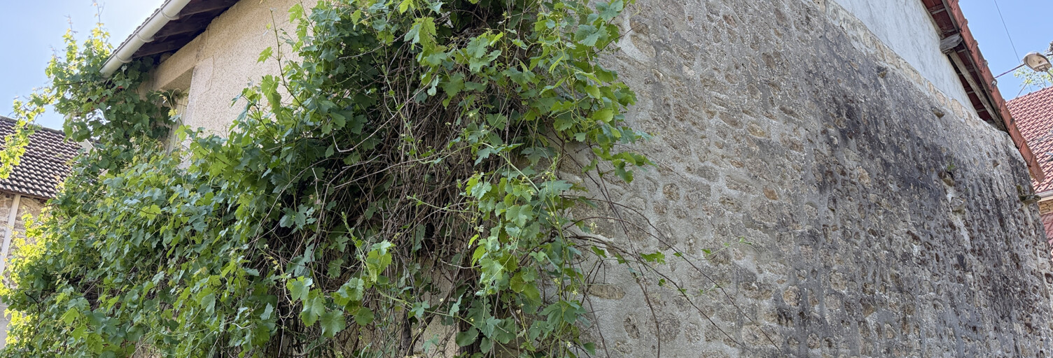 Photo N° 2