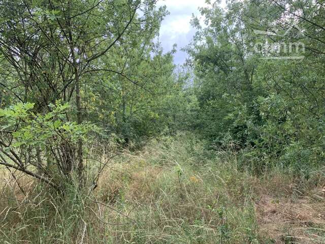 À vendre terrain de 44 000 m² en bordure de rivière — photo du bien