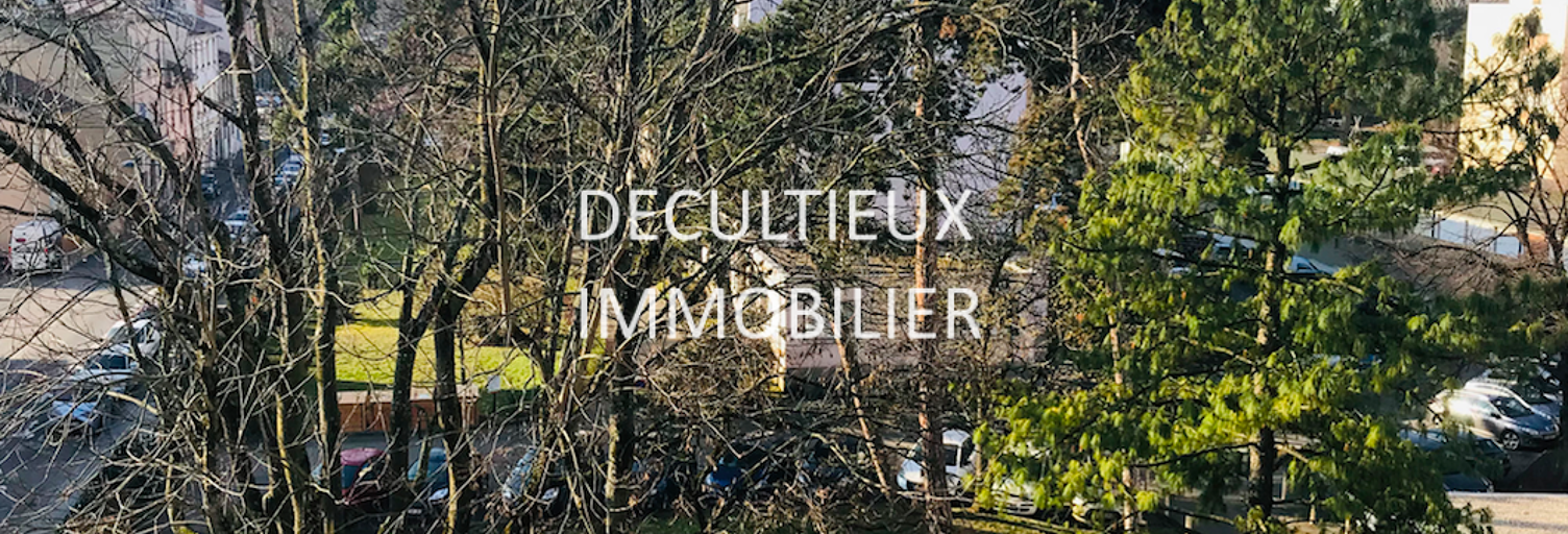 Appartement 2 Pièces 44 m² à vendre à Villeurbanne (69100)