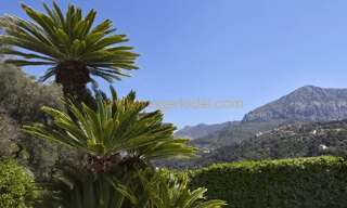 Maison 713 m² en viager Menton (06500)