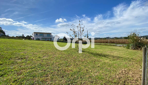 Terrain  à vendre Orthez 64300