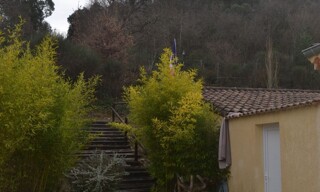 Photo N° 6