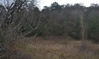Photo N° 8