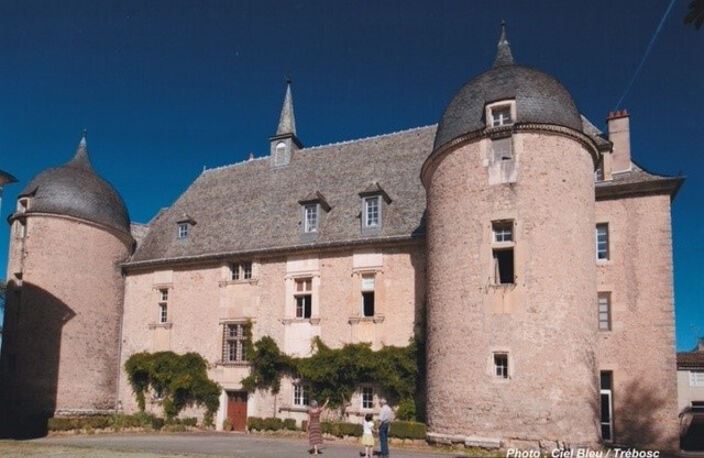Magnifique château du XVIème — photo 2