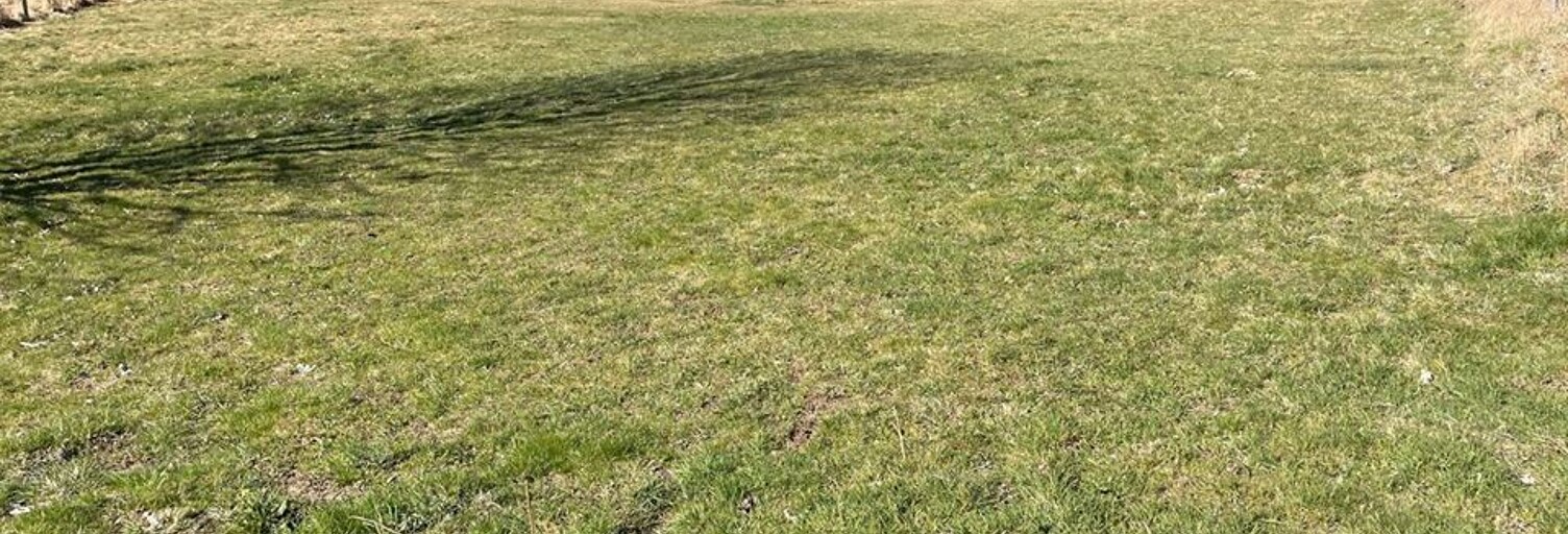 Terrain  880 m² à vendre à Saint-Pal-de-Mons (43620)