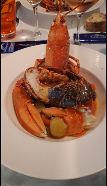 Local commercial  à vendre Royan 17200