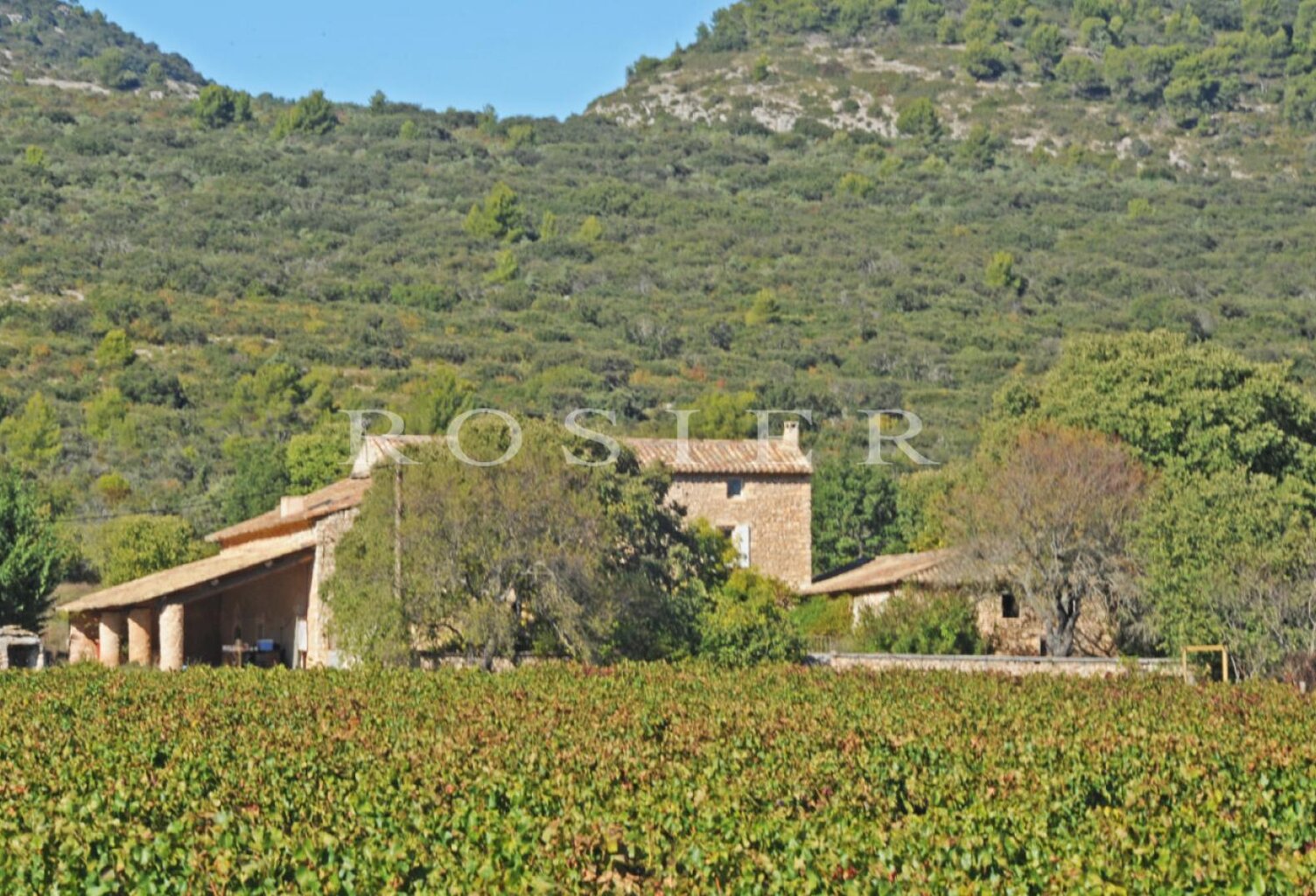 A Gordes : superbe ferme XVIIIème en U à aménager sur 6 hectares — photo 1