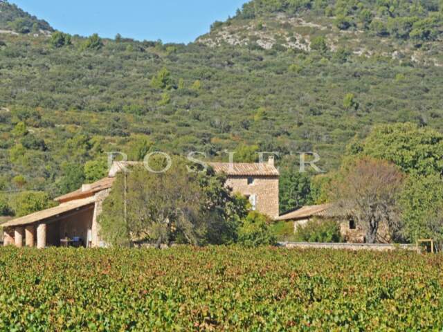 A Gordes : superbe ferme XVIIIème en U à aménager sur 6 hectares — photo du bien