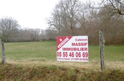 vente terrain 24 500 € à proximité de Champs-sur-Tarentaine-Marchal (15270)