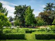 Appartement T3 avec jardin — photo 4