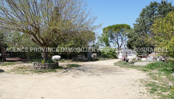 Terrain  à vendre Sainte-Cécile-les-Vignes 84290