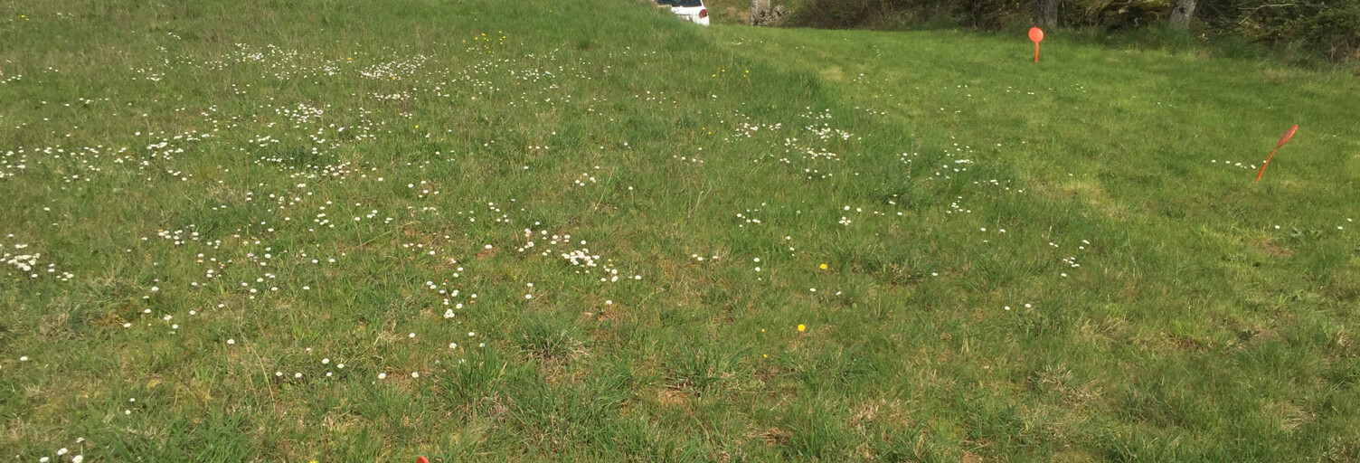 Terrain  1169 m² à vendre à Niort (79000)