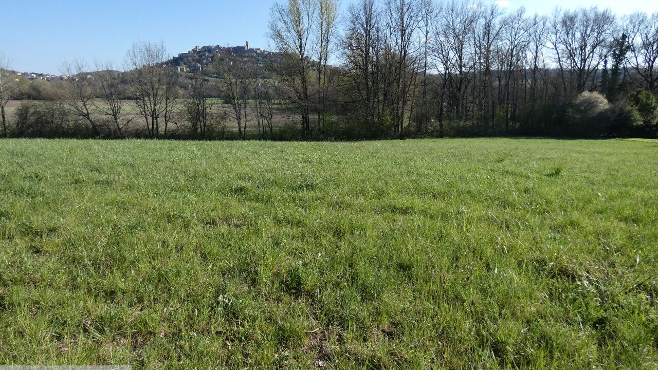 terrain  pièces 6500 m2 à vendre à Cordes-sur-Ciel (81170)