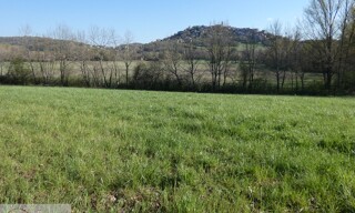 Terrain  6500 m² à vendre à Cordes-sur-Ciel (81170)