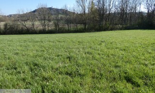 Photo N° 4