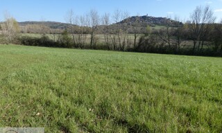 Photo N° 5