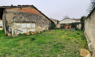 Photo N° 3