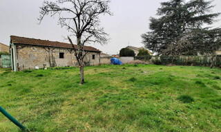 Photo N° 6