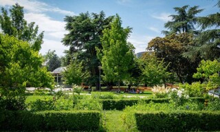 Photo N° 3
