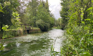 Terrain  895 m² à vendre à Montville (76710)