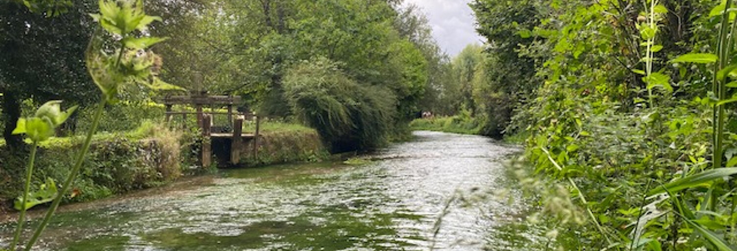 Terrain  895 m² à vendre à Montville (76710)