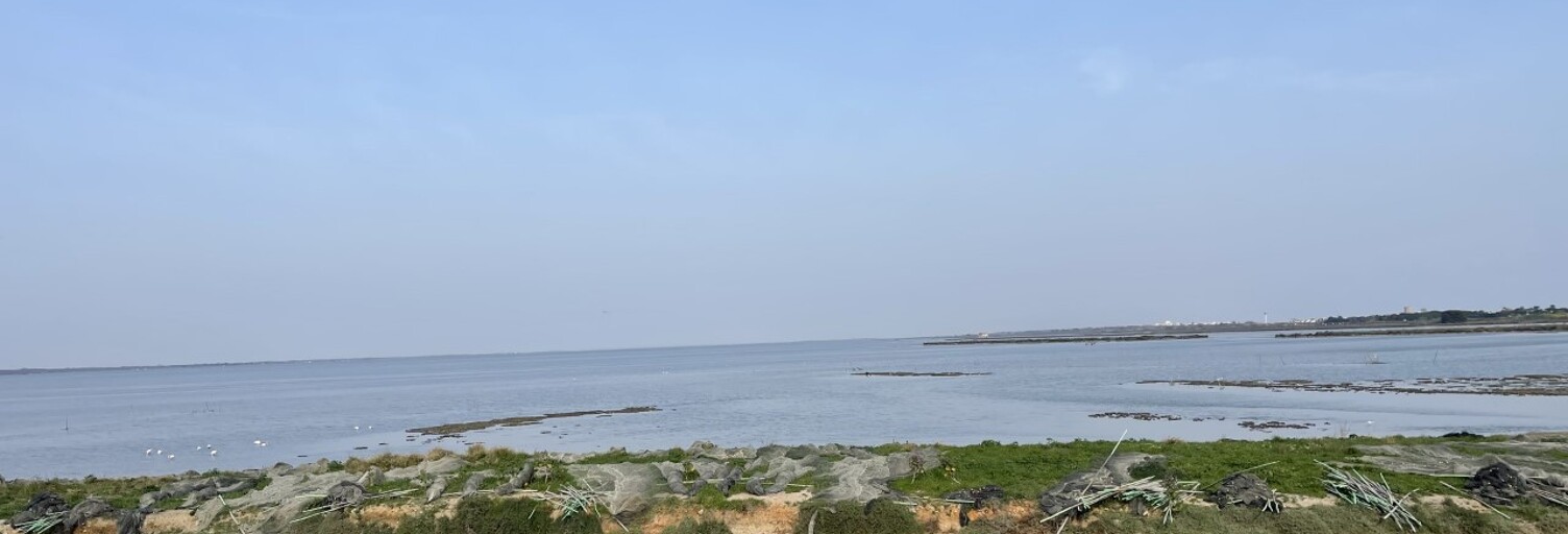 Maison 5 Pièces 114 m² à vendre à Pérols (34470)