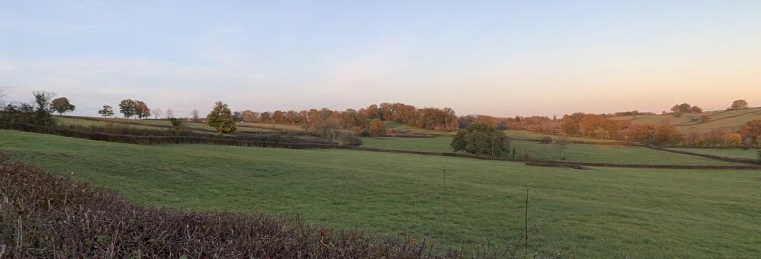 Terrain  21690 m² à vendre à Corbigny (58800)