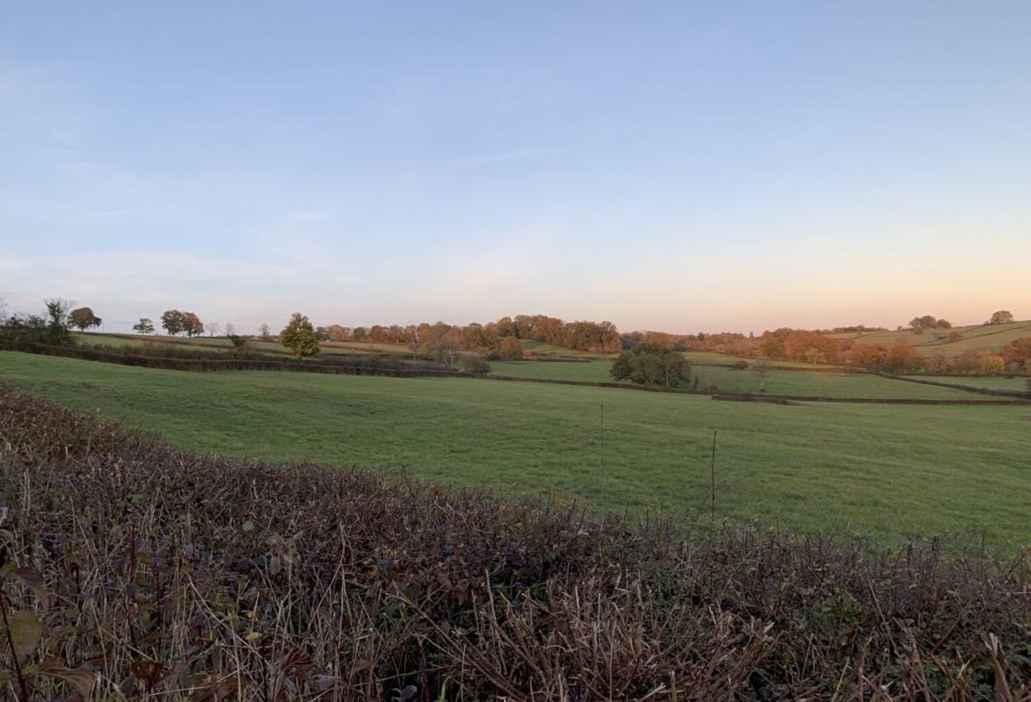 TERRAIN  AGRICOLE  A CORBIGNY — photo 1