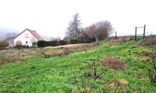 Photo N° 6