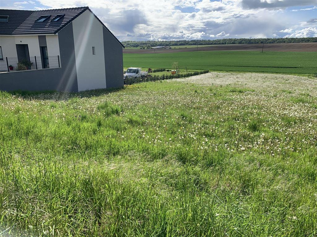 Photo Terrain constructible - 2450m² - Souilly image 4/4