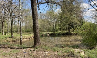 Photo N° 4