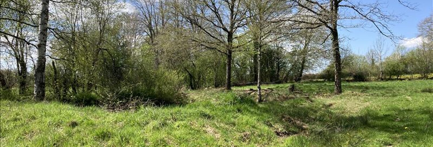 Terrain  2430 m² à vendre à Lourdoueix-Saint-Michel (36140)