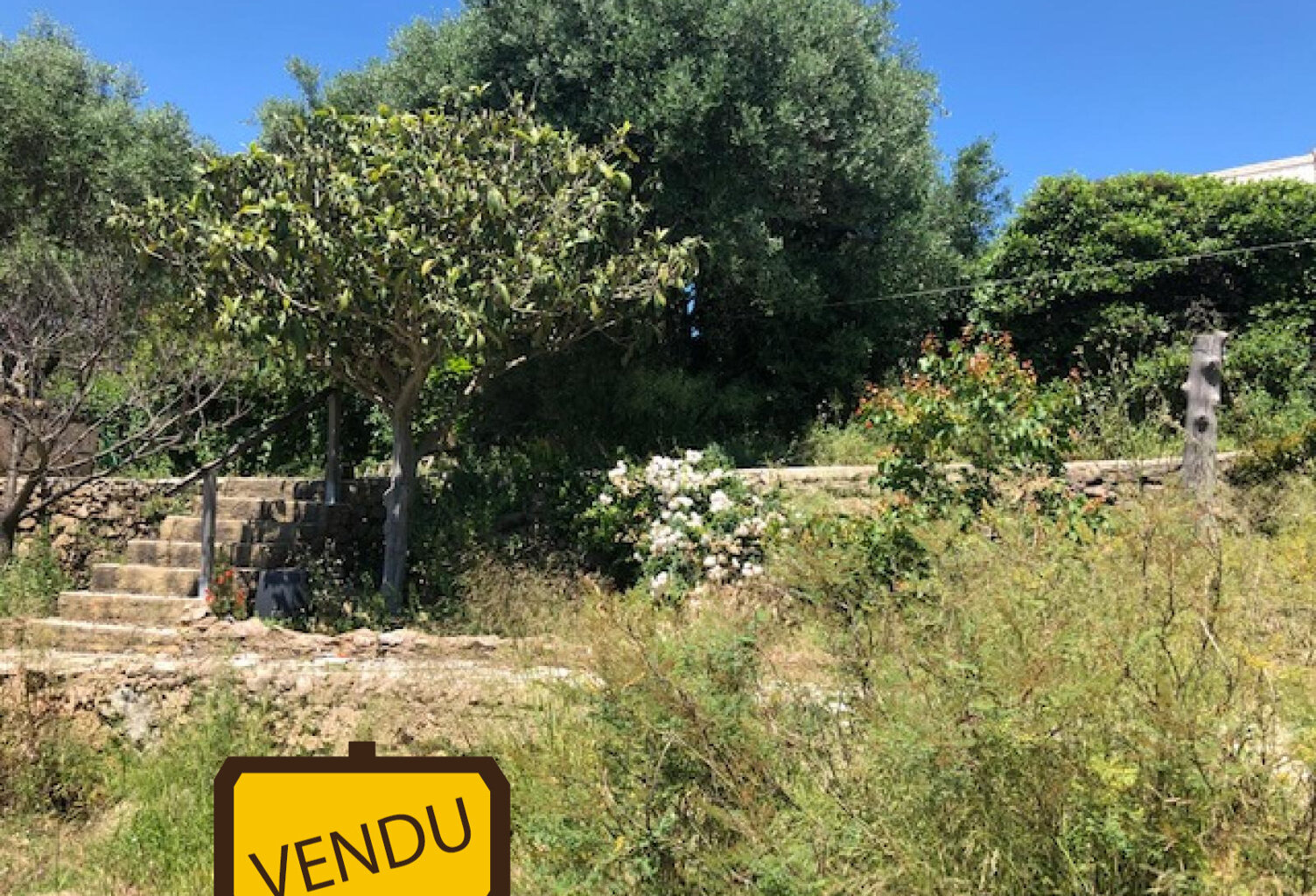SETE pinède avec vue mer ! orientation sud ouest du mont saint Clair avec vue mer et cordon littoral et sud bassin de Thau — photo 1