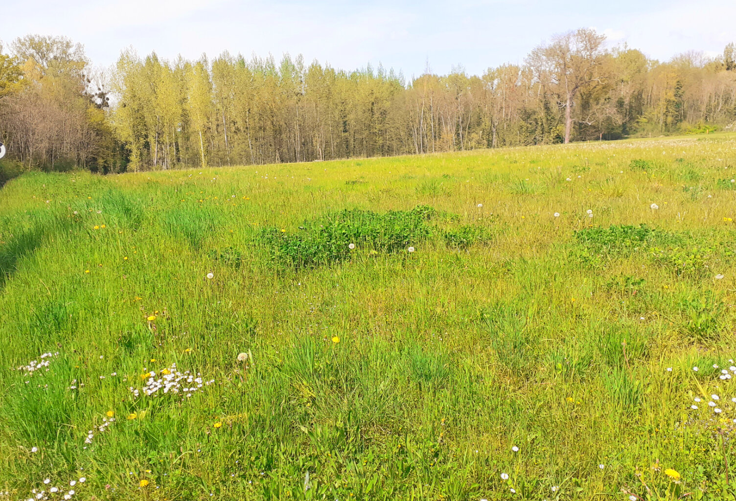 Fleury la Vallée Terrain — photo 1