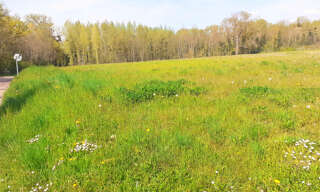 Terrain  845 m² à vendre à Fleury-la-Vallée (89113)