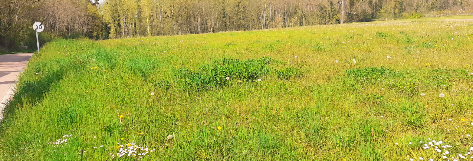 Terrain  845 m² à vendre à Fleury-la-Vallée (89113)