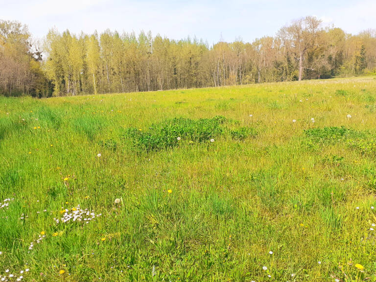 Fleury la Vallée Terrain — photo 1