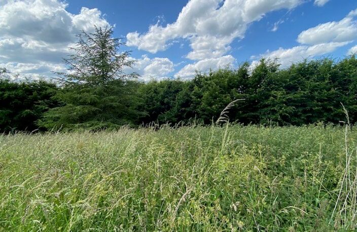 VILLERS SUR LE ROULE (27940) - Terrain à bâtir - 824m² — photo 3