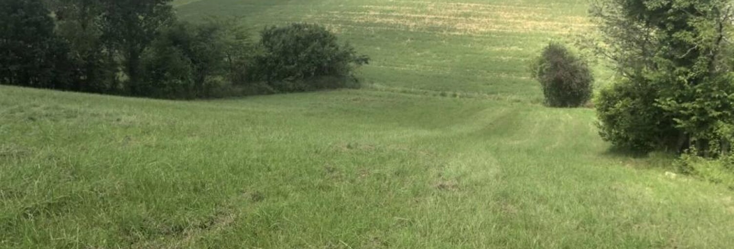 Terrain   m² à vendre à Auch (32000)