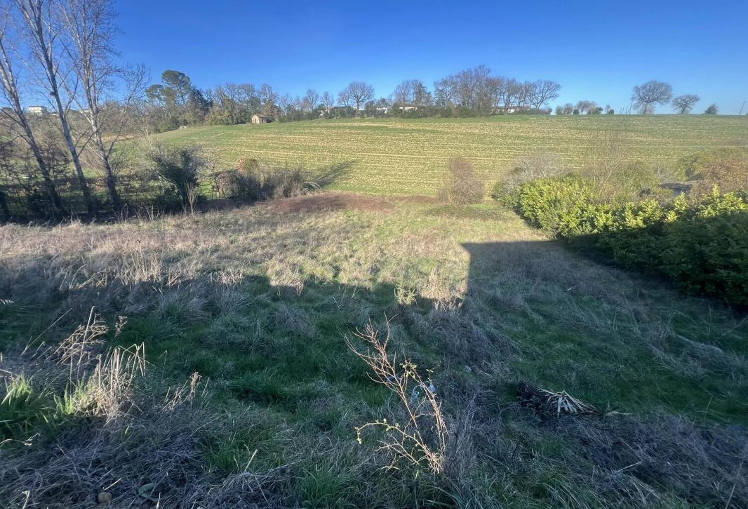 Terrain — photo 1