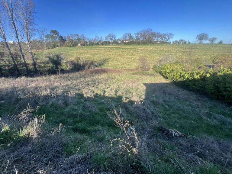 Terrain — photo 1