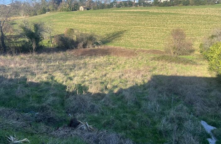 Terrain — photo 3