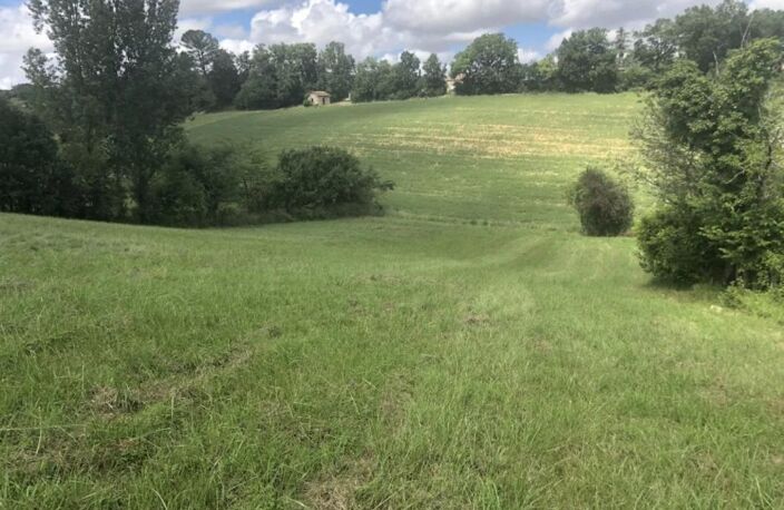 Terrain — photo 4