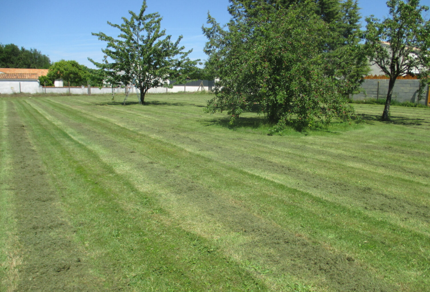 A Vendre Terrain Le Douhet env.1000 m2 — photo 1