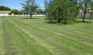 Terrain  1000 m² à vendre à Le Douhet (17100)