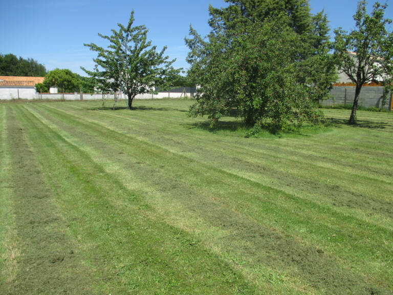 A Vendre Terrain Le Douhet env.1000 m2 — photo 1