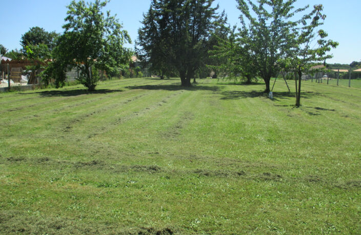 A Vendre Terrain Le Douhet env.1000 m2 — photo 2