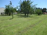 A Vendre Terrain Le Douhet env.1000 m2 — photo 3